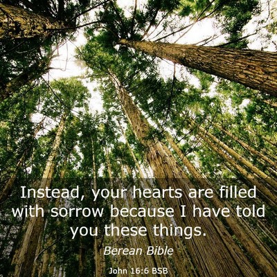 Picture 03 - John 16:6 BSB - Instead, your hearts are filled with sorrow - Bible Verse Picture