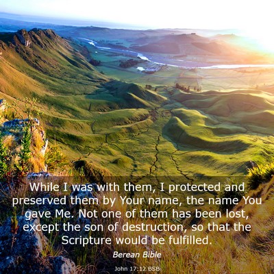Picture 03 - John 17:12 BSB - While I was with them, I protected and preserved - Bible Verse Picture
