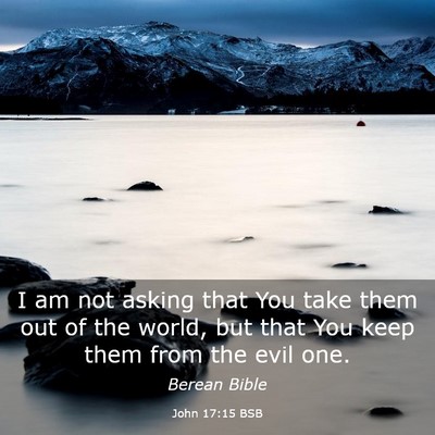 Picture 03 - John 17:15 BSB - I am not asking that You take them out of the - Bible Verse Picture