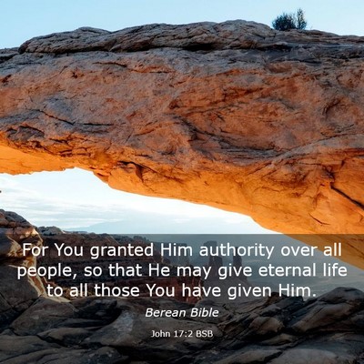 Picture 03 - John 17:2 BSB - For You granted Him authority over all people, so - Bible Verse Picture