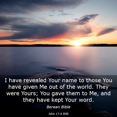 Picture 03 - John 17:6 BSB - I have revealed Your name to those You have given - Bible Verse Picture