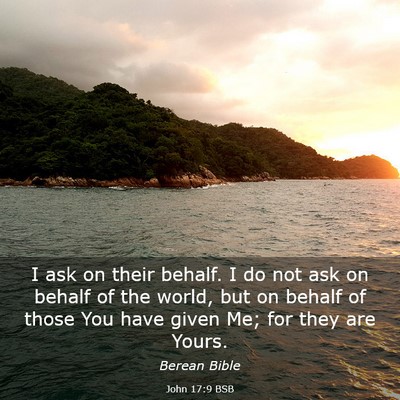 Picture 03 - John 17:9 BSB - I ask on their behalf. I do not ask on behalf of - Bible Verse Picture
