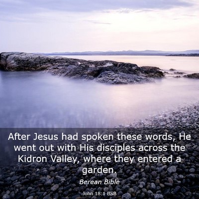 Picture 03 - John 18:1 BSB - After Jesus had spoken these words, He went out - Bible Verse Picture