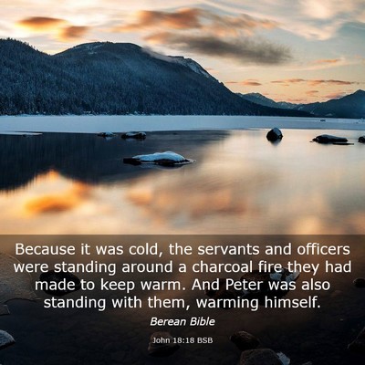 Picture 03 - John 18:18 BSB - Because it was cold, the servants and officers - Bible Verse Picture
