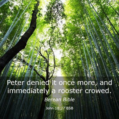 Picture 03 - John 18:27 BSB - Peter denied it once more, and immediately a - Bible Verse Picture