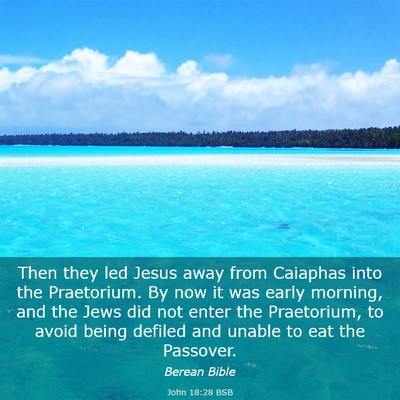Picture 03 - John 18:28 BSB - Then they led Jesus away from Caiaphas into the - Bible Verse Picture