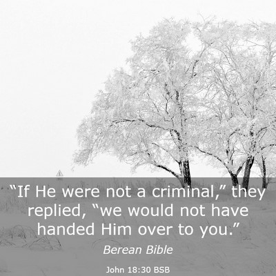 Picture 03 - John 18:30 BSB - “If He were not a criminal,” they replied, - Bible Verse Picture