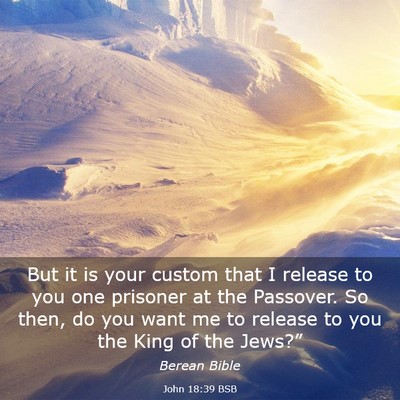 Picture 03 - John 18:39 BSB - But it is your custom that I release to you one - Bible Verse Picture
