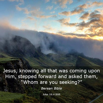 Picture 03 - John 18:4 BSB - Jesus, knowing all that was coming upon Him, - Bible Verse Picture