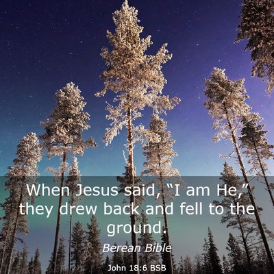 Picture 03 - John 18:6 BSB - When Jesus said, “I am He,” they drew back - Bible Verse Picture