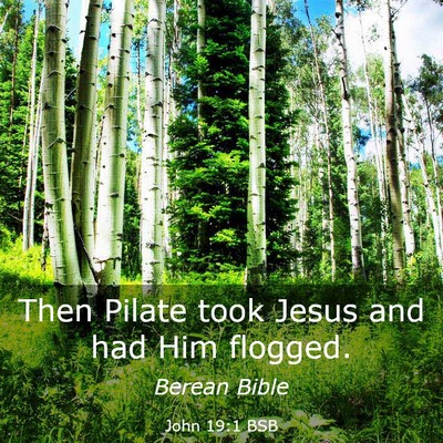 Picture 03 - John 19:1 BSB - Then Pilate took Jesus and had Him - Bible Verse Picture