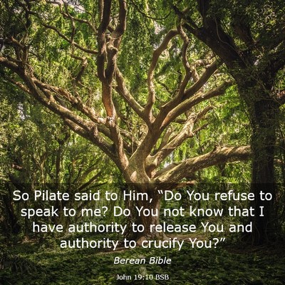 Picture 03 - John 19:10 BSB - So Pilate said to Him, “Do You refuse to speak - Bible Verse Picture