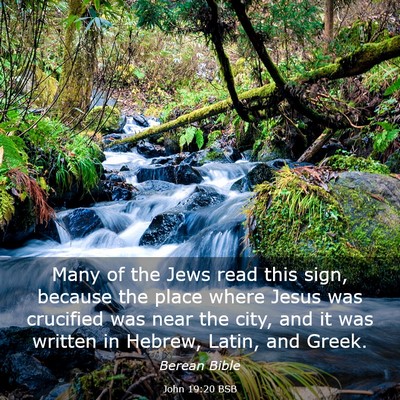 Picture 03 - John 19:20 BSB - Many of the Jews read this sign, because the - Bible Verse Picture