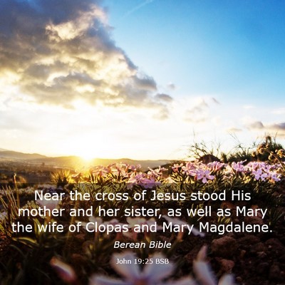 Picture 03 - John 19:25 BSB - Near the cross of Jesus stood His mother and her - Bible Verse Picture