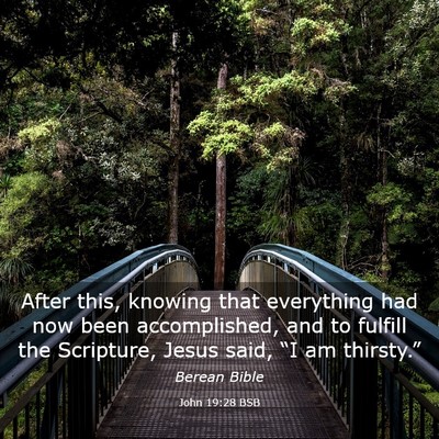 Picture 03 - John 19:28 BSB - After this, knowing that everything had now been - Bible Verse Picture