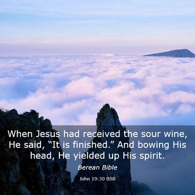 Picture 03 - John 19:30 BSB - When Jesus had received the sour wine, He said, - Bible Verse Picture