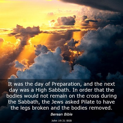 Picture 03 - John 19:31 BSB - It was the day of Preparation, and the next day - Bible Verse Picture