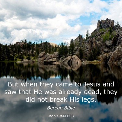Picture 03 - John 19:33 BSB - But when they came to Jesus and saw that He was - Bible Verse Picture