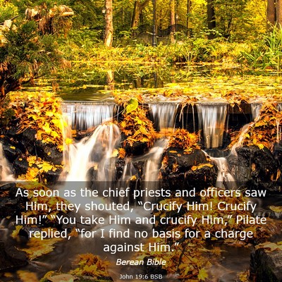 Picture 03 - John 19:6 BSB - As soon as the chief priests and officers saw - Bible Verse Picture