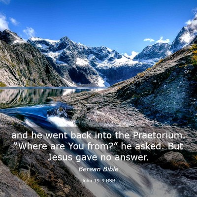 Picture 03 - John 19:9 BSB - and he went back into the Praetorium. “Where - Bible Verse Picture