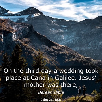Picture 03 - John 2:1 BSB - On the third day a wedding took place at Cana in - Bible Verse Picture