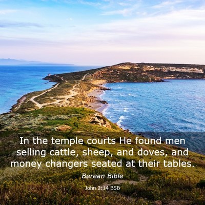 Picture 03 - John 2:14 BSB - In the temple courts He found men selling cattle, - Bible Verse Picture
