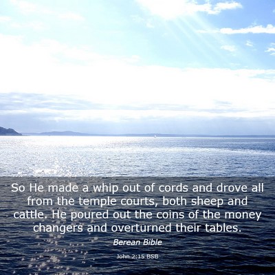 Picture 03 - John 2:15 BSB - So He made a whip out of cords and drove all from - Bible Verse Picture