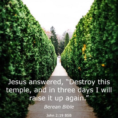 Picture 03 - John 2:19 BSB - Jesus answered, “Destroy this temple, and in - Bible Verse Picture