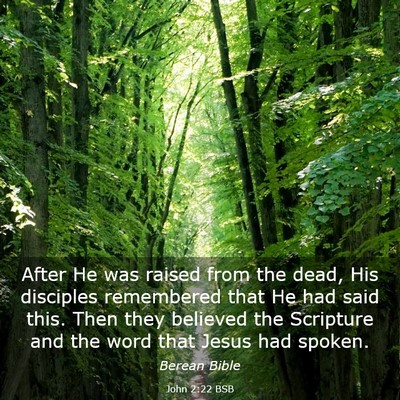 Picture 03 - John 2:22 BSB - After He was raised from the dead, His disciples - Bible Verse Picture