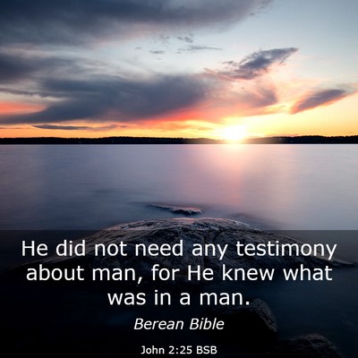 Picture 03 - John 2:25 BSB - He did not need any testimony about man, for He - Bible Verse Picture