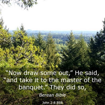 Picture 03 - John 2:8 BSB - “Now draw some out,” He said, “and take it - Bible Verse Picture