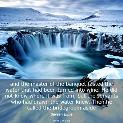 Picture 03 - John 2:9 BSB - and the master of the banquet tasted the water - Bible Verse Picture