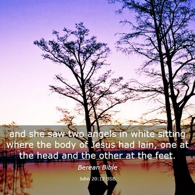 Picture 03 - John 20:12 BSB - and she saw two angels in white sitting where the - Bible Verse Picture