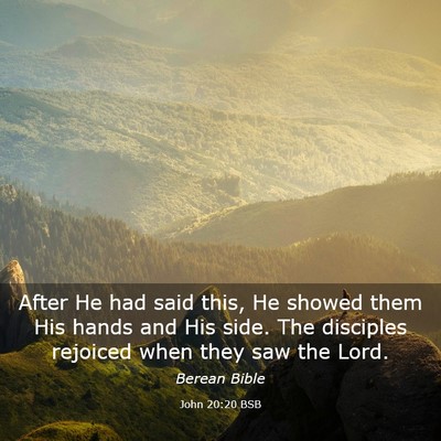 Picture 03 - John 20:20 BSB - After He had said this, He showed them His hands - Bible Verse Picture