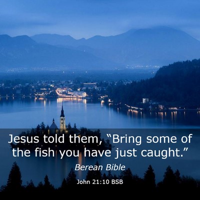 Picture 03 - John 21:10 BSB - Jesus told them, “Bring some of the fish you - Bible Verse Picture