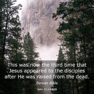 Picture 03 - John 21:14 BSB - This was now the third time that Jesus appeared - Bible Verse Picture