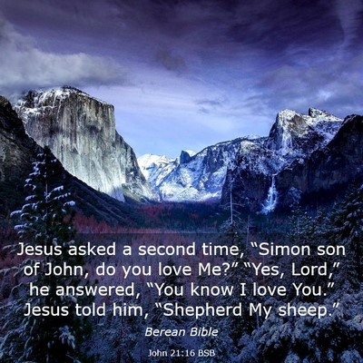 Picture 03 - John 21:16 BSB - Jesus asked a second time, “Simon son of John, - Bible Verse Picture