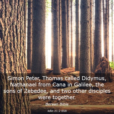 Picture 03 - John 21:2 BSB - Simon Peter, Thomas called Didymus, Nathanael - Bible Verse Picture
