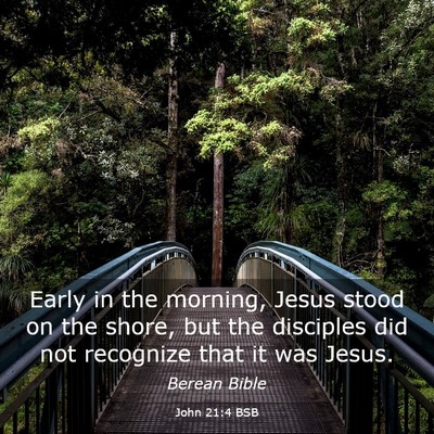 Picture 03 - John 21:4 BSB - Early in the morning, Jesus stood on the shore, - Bible Verse Picture
