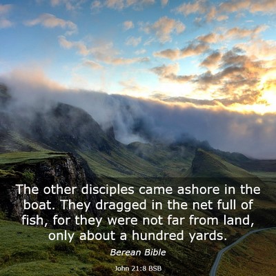 Picture 03 - John 21:8 BSB - The other disciples came ashore in the boat. They - Bible Verse Picture