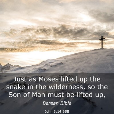 Picture 03 - John 3:14 BSB - Just as Moses lifted up the snake in the - Bible Verse Picture