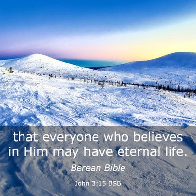 Picture 03 - John 3:15 BSB - that everyone who believes in Him may have - Bible Verse Picture