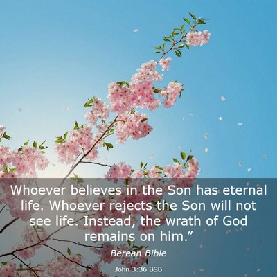 Picture 03 - John 3:36 BSB - Whoever believes in the Son has eternal life. - Bible Verse Picture