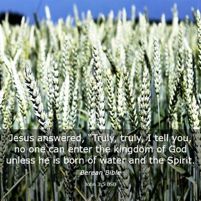 Picture 03 - John 3:5 BSB - Jesus answered, “Truly, truly, I tell you, no - Bible Verse Picture