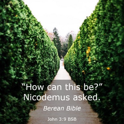 Picture 03 - John 3:9 BSB - “How can this be?” Nicodemus - Bible Verse Picture