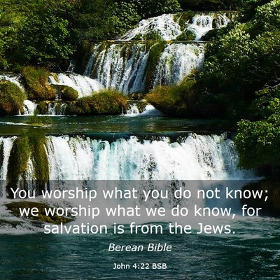 Picture 03 - John 4:22 BSB - You worship what you do not know; we worship what - Bible Verse Picture
