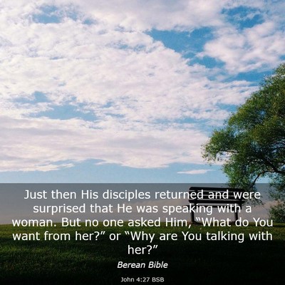 Picture 03 - John 4:27 BSB - Just then His disciples returned and were - Bible Verse Picture
