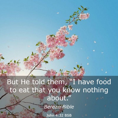 Picture 03 - John 4:32 BSB - But He told them, “I have food to eat that you - Bible Verse Picture