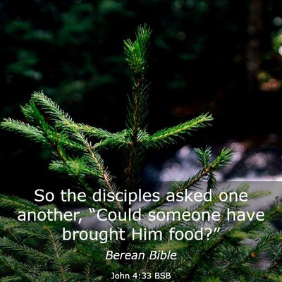 Picture 03 - John 4:33 BSB - So the disciples asked one another, “Could - Bible Verse Picture