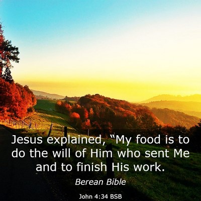 Picture 03 - John 4:34 BSB - Jesus explained, “My food is to do the will of - Bible Verse Picture